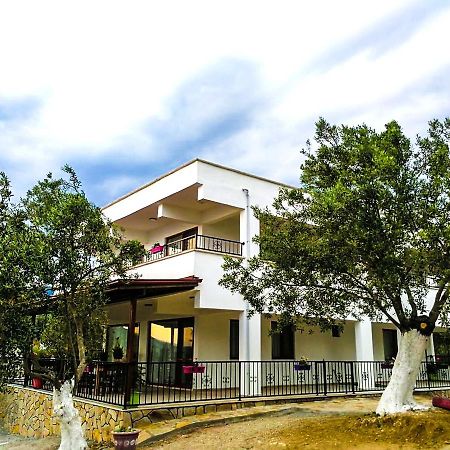 Kaymak Tepesi Tatil Evi Bed and Breakfast Kucukkuyu Εξωτερικό φωτογραφία