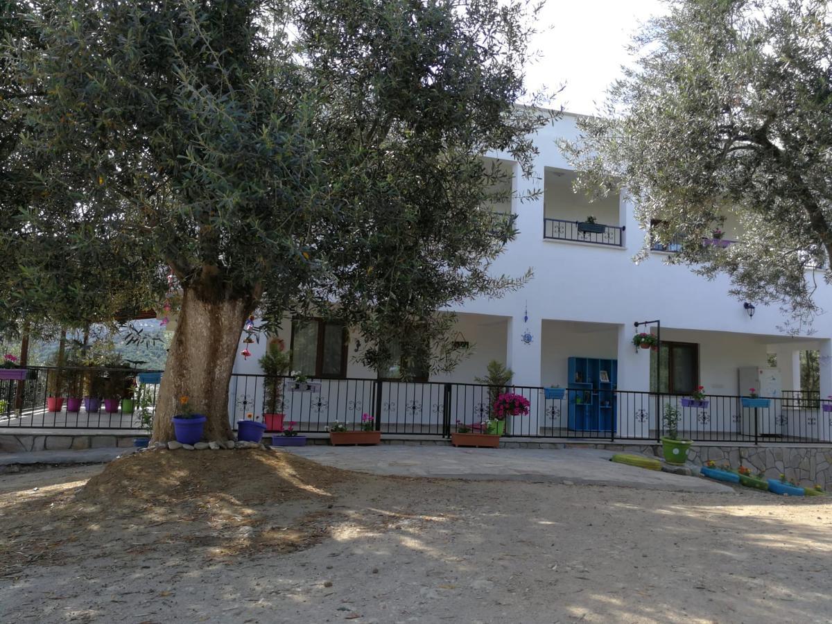 Kaymak Tepesi Tatil Evi Bed and Breakfast Kucukkuyu Εξωτερικό φωτογραφία