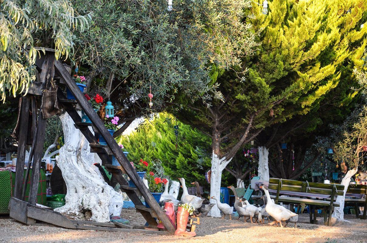 Kaymak Tepesi Tatil Evi Bed and Breakfast Kucukkuyu Εξωτερικό φωτογραφία
