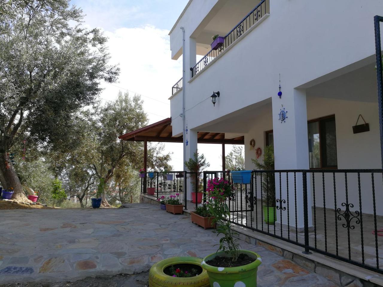 Kaymak Tepesi Tatil Evi Bed and Breakfast Kucukkuyu Εξωτερικό φωτογραφία